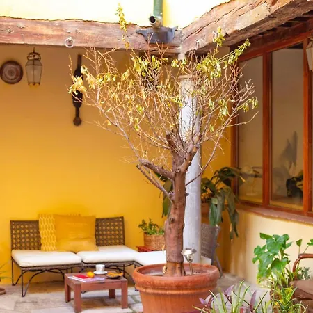 Apartment Alh Patio *