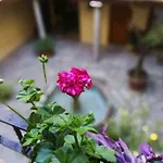 Alh Patio Lägenhet Granada