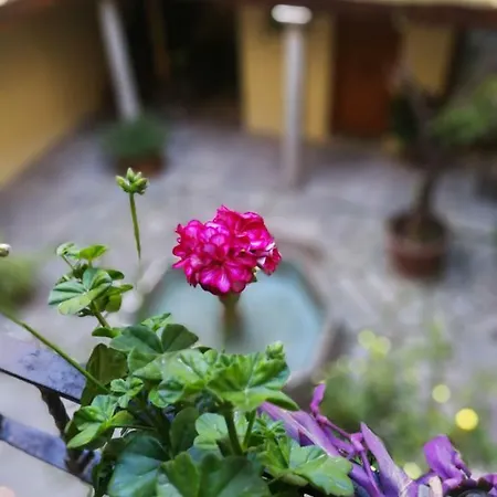 Alh Patio Apartamento Granada